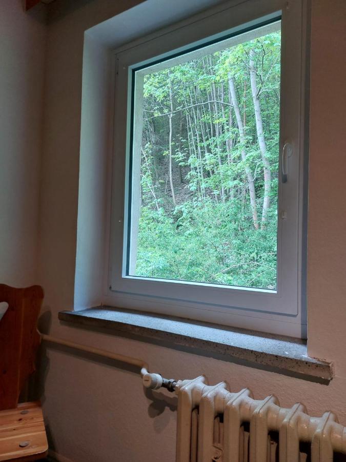 Pension Sternschnuppe, Treseburg Harz, Unmittelbar Am Wasser Thale Eksteriør billede