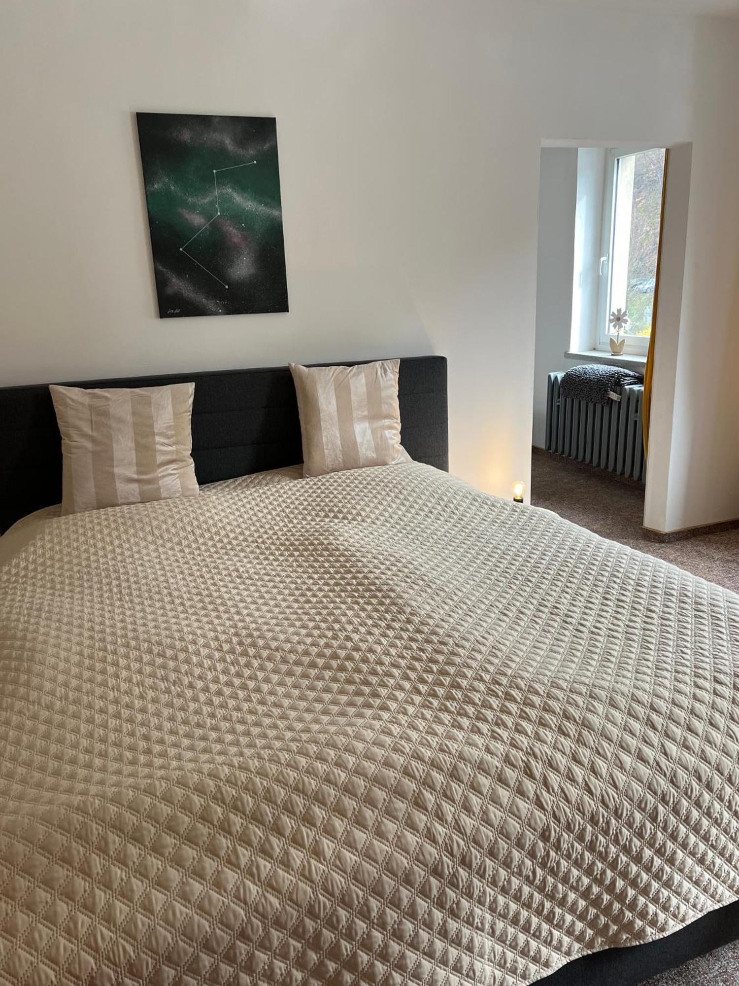 Pension Sternschnuppe, Treseburg Harz, Unmittelbar Am Wasser Thale Eksteriør billede