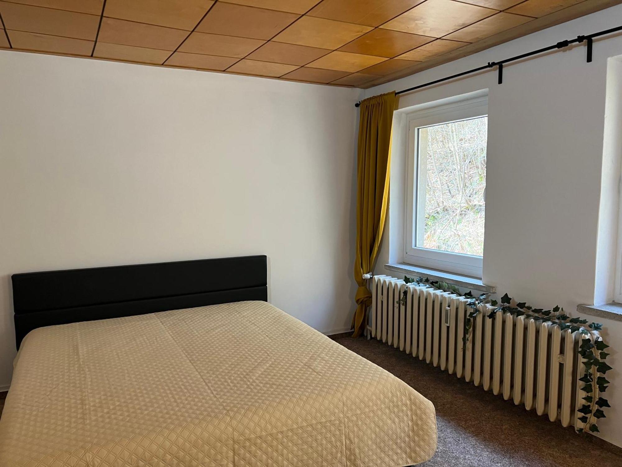 Pension Sternschnuppe, Treseburg Harz, Unmittelbar Am Wasser Thale Eksteriør billede