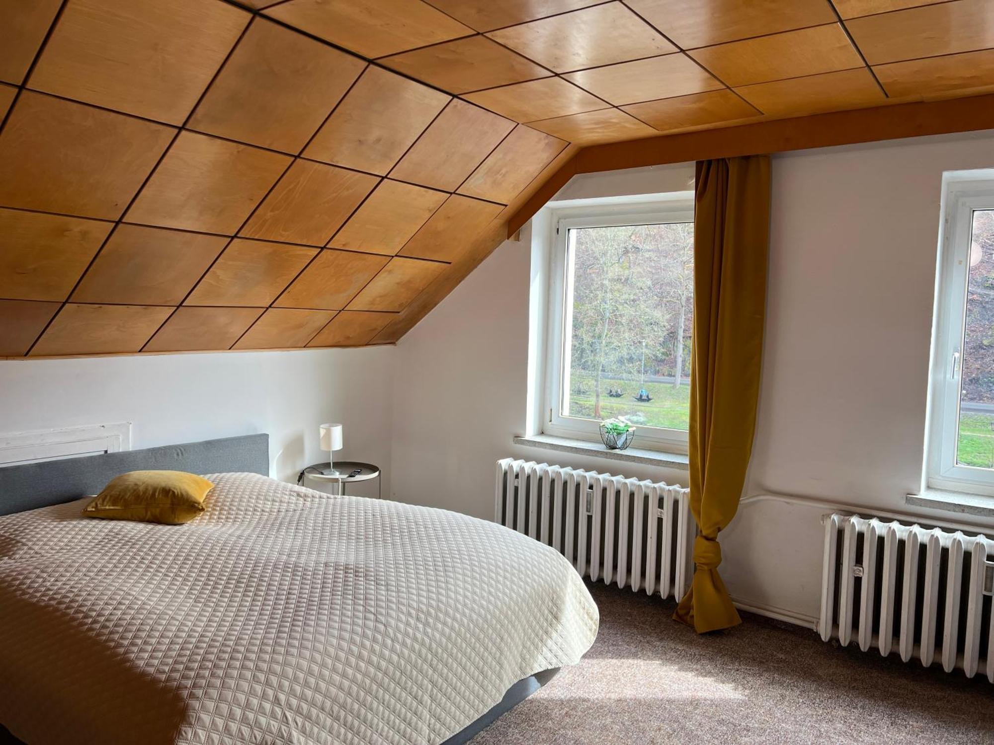 Pension Sternschnuppe, Treseburg Harz, Unmittelbar Am Wasser Thale Eksteriør billede